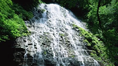 独特先进高性能